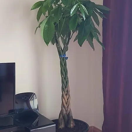 Beautiful Place With Ocean View