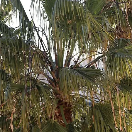 Beautiful Place With Ocean View Appartamento