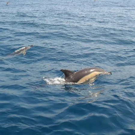 Beautiful Place With Ocean View